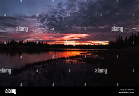 midnight sun over Fairbanks, Alaska! Stock Photo - Alamy