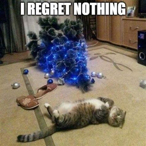 20+ Most Hilarious Cat Christmas Tree Memes of All Time 2023