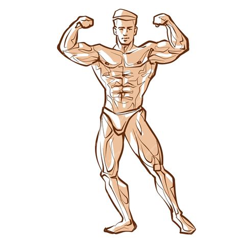 Premium Vector | Fitness men posing Muscular man stands rippling athlete sprinter Vector drawing