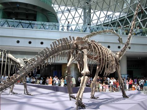 Shanghai Science and Technology Museum Dinosaur Skeleton, Shanghai ...