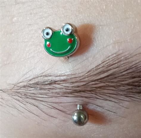 frog eyebrow piercing :) : piercing