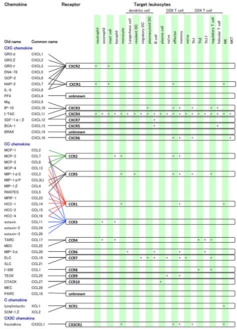 Chemokines and their receptors. | Download High-Quality Scientific Diagram