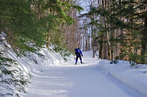 Cross-country Skiing in Gatineau Park, Quebec