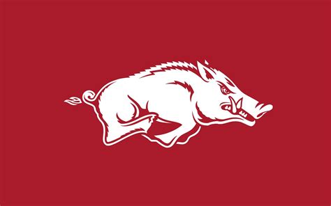 Free Razorback Hog Cliparts, Download Free Razorback Hog Cliparts png ...