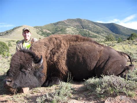 2016 Utah Henry Mountain Bison Conservation Permit Hunter’s Choice (early)