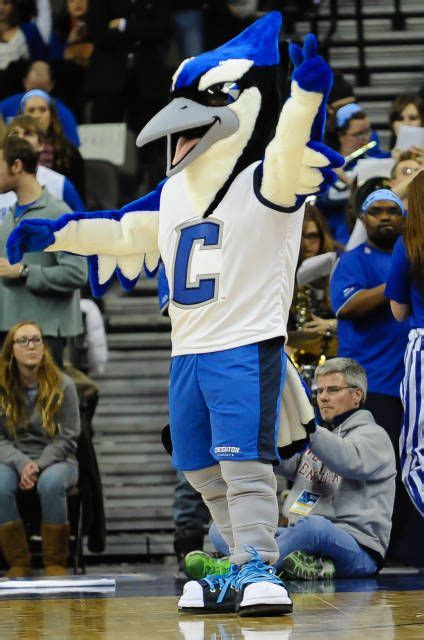 Billy Bluejay, Creighton Bluejays mascot. y did he have a facelift ...