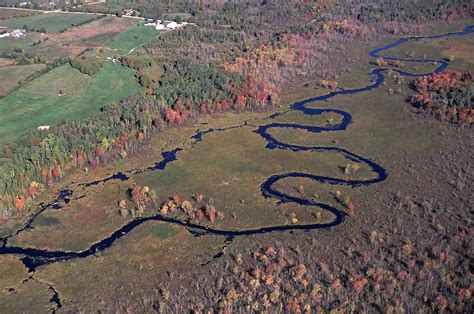 Beaver River Wetland - The Lake Simcoe Region Conservation Authority