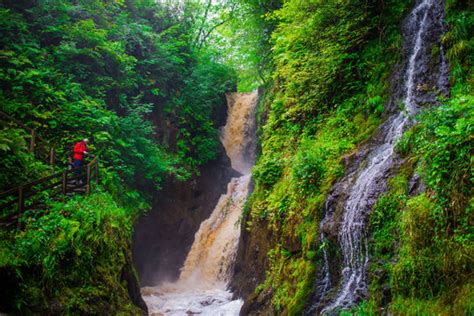 "Glenariff Forest Park" Images – Browse 283 Stock Photos, Vectors, and Video | Adobe Stock