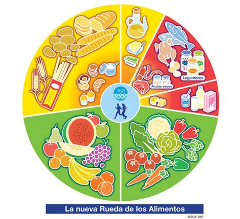 Grupos de alimentos | Gastronomía & Cía