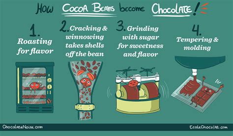 Chocolate-making process illustrations :: Behance