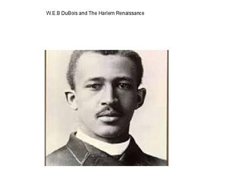 W.E.B Dubois And The Harlem Renaissance | Book 271283