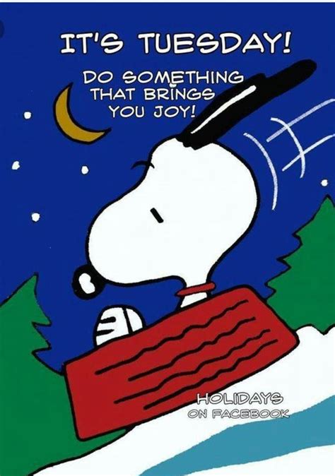 Pin by Merrilee Desatoff on Tuesday Fun | Snoopy quotes, Snoopy, Snoopy ...