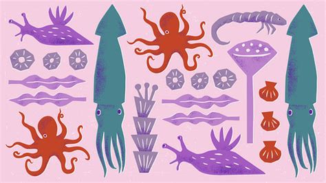 Sea Creatures | The large prints & goods (phone cases, mugs,… | Flickr