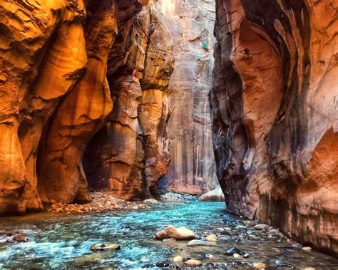 The Narrows Zion National Park Hike | All You Need to Know! | Zion national park photography ...