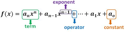 Polynomial functions - Properties, Graphs, and Examples