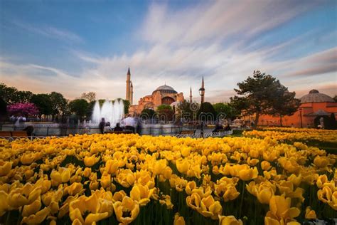 Blue Mosque and Hagia Sophia./istanbul Stock Image - Image of landscape ...