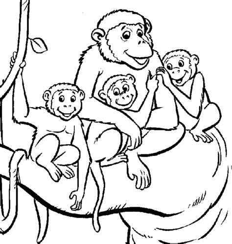 Monkeys Drawing at GetDrawings | Free download