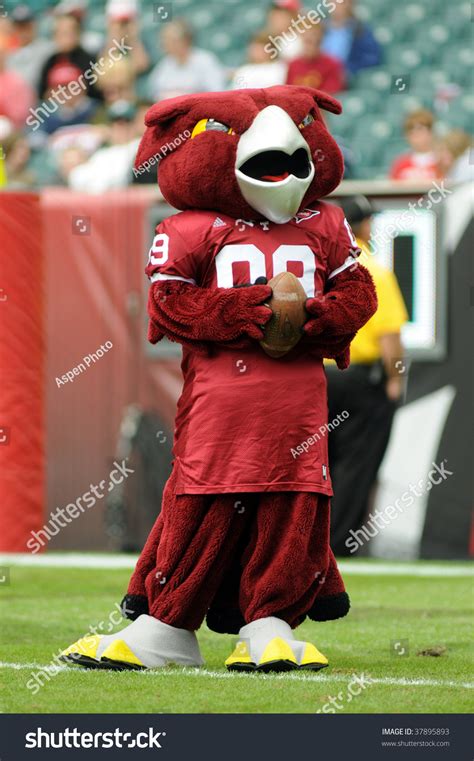 Philadelphia - September 26: Temple University Owls Mascot Hooter Holds A Football For A ...