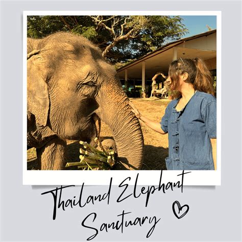 Elephant Sanctuary Thailand