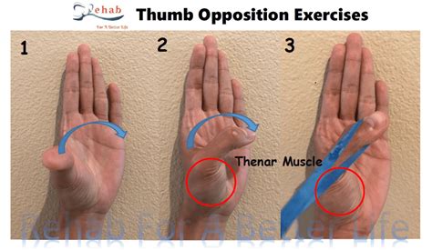 The best exercises for your painful thumb arthritis – Artofit