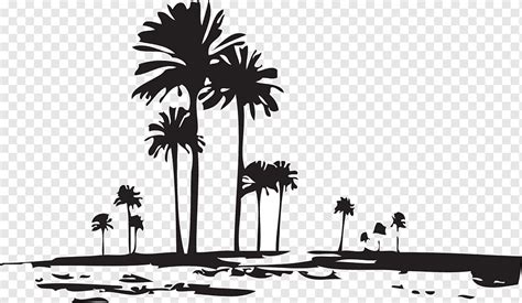 Coconut trees silhouette, png | PNGWing