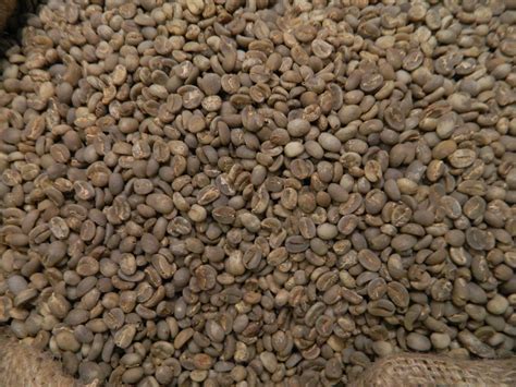 Flores Organic Bajawa Ngura RFA Coffee Beans | Home Roast Coffee