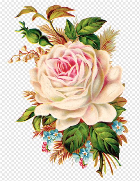 Rose Art, botanical flowers, flower Arranging, white, vintage Clothing ...