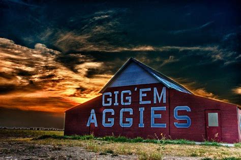 🔥 [50+] Texas A&M Wallpapers Screensavers | WallpaperSafari