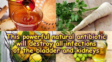 This powerful natural antibiotic will destroy all infections of the ...