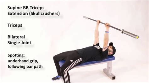 Barbell Supine Triceps Extensions (Skullcrushers) - YouTube