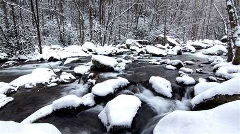 [Video] Winter at Big Creek in Great Smoky Mountain National Park | DIY ...