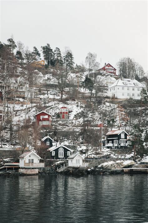 Oslo Fjord Cruise - Haarkon | Denmark travel, Norway travel, Norway oslo