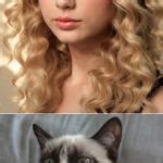 Grumpy Cat says "no" to Taylor Swift as NYC Global Welcome Ambas - Imgflip