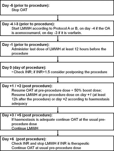 Standardized Low–Molecular-Weight Heparin Bridging Regimen in ...