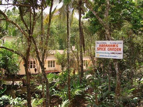 Thekkady Sightseeing | Sightseeing Of Thekkady – Thekkady Tourism | Spice garden, Forest garden ...