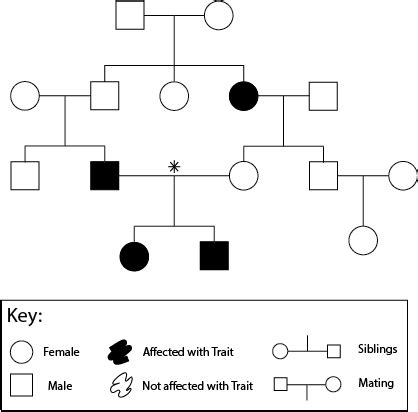 What is Inbreeding? | Effects of Inbreeding - Video & Lesson Transcript | Study.com