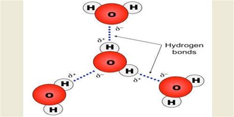 What are the Effects of Hydrogen Bond on the Properties of Compounds ...