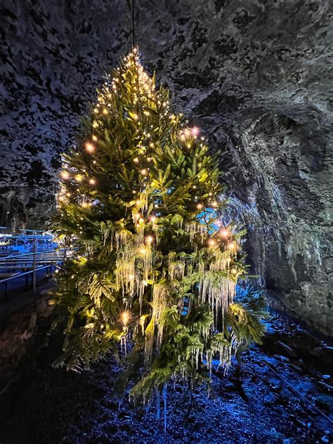 Christmas Carol Concerts 2024 – Peak Cavern