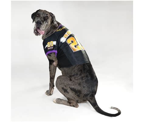 Snoop Dogg Debuts New Dog Wear Line, Snoop Doggie Doggs - Men's Journal