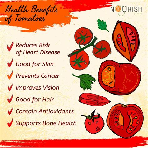 Tomato Paste Nutrition Facts & Health Benefits - NourishDoc