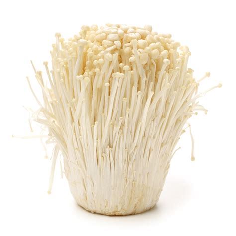 Enoki Mushroom 金针菇 – 1PACK – Maxmart