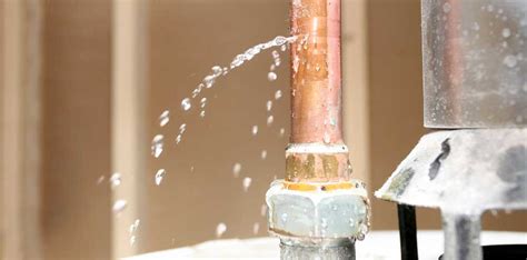 Quick Cleanup: Key to Minimizing Water Leak Damage