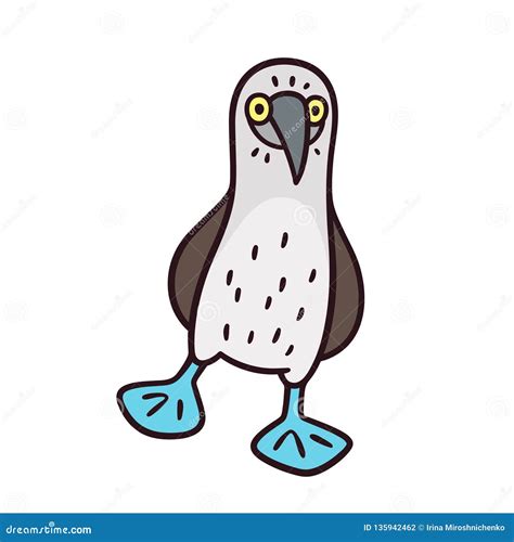 Blue Footed Booby Realistic Illustration. Wildlife Galapagos Bird ...