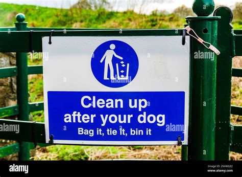 Blue and white 'Clean up after your dog' sign Stock Photo - Alamy
