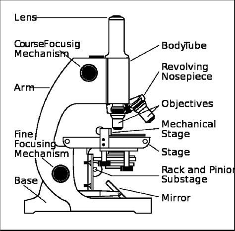 Parts Of A Microscope Worksheet