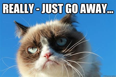 Grumpy Cat Just Go Away memes | quickmeme