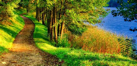 Scenic Nature Landscape of Path Near Lake Stock Photo - Image of blue ...