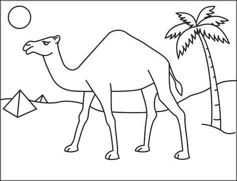 Simple Tips on how to Draw a Camel Tutorial and Camel Coloring Web page ...