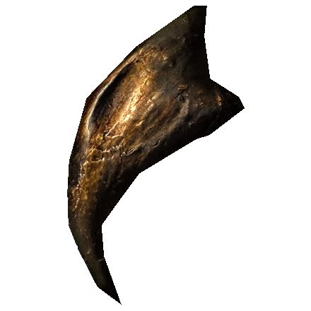 Hawk Beak - Skyrim Wiki