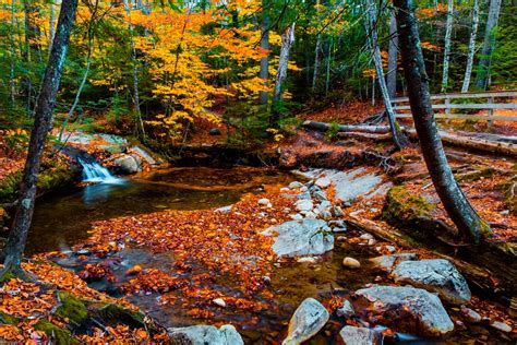 Franconia Notch State Park - #1 Best for NH Fall Foliage!